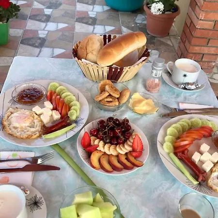 Guest house Vila Arlind *