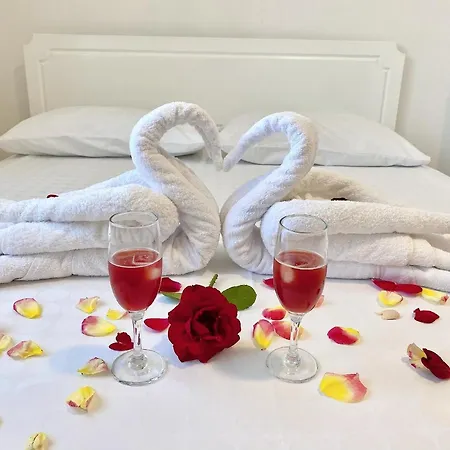 Guest house Vila Arlind *